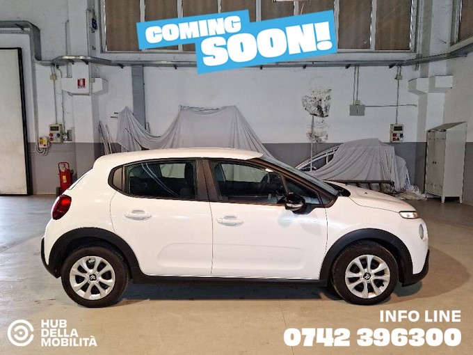 CITROEN C3 BlueHDi 100 S&S Van Feel